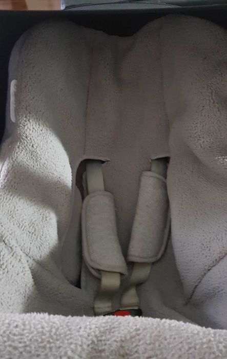 Capas protetoras para carrinho de inverno