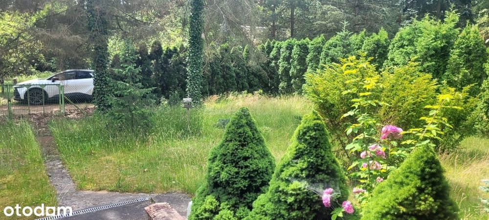 Dom 72m2 z ogrodem w lesie. Arciechów nad Bugiem.
