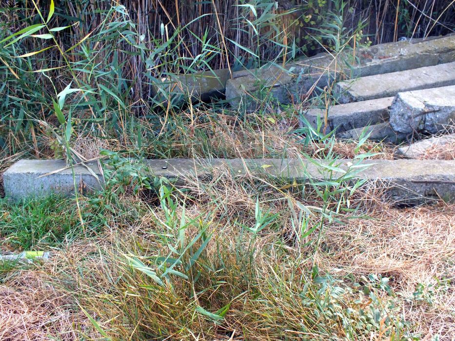 Железобетонные опоры (пасынки) б\у