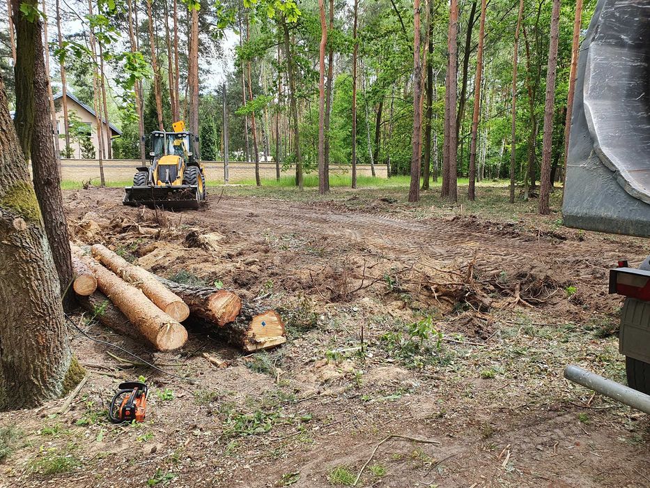 Mulczowanie, czyszczenie działek, wycinka drzew, karczowanie
