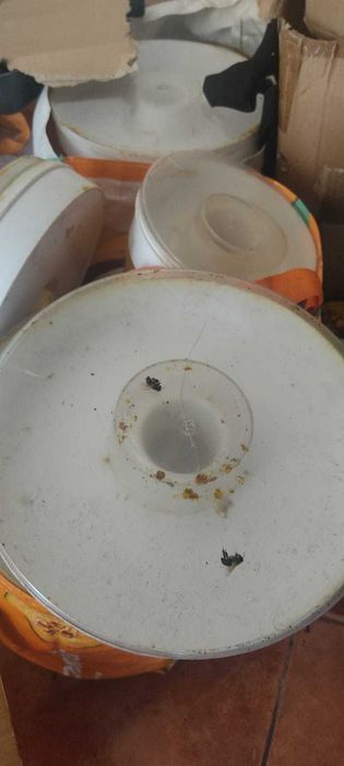 Alimentador para Abelhas redondo 1 e 2kg