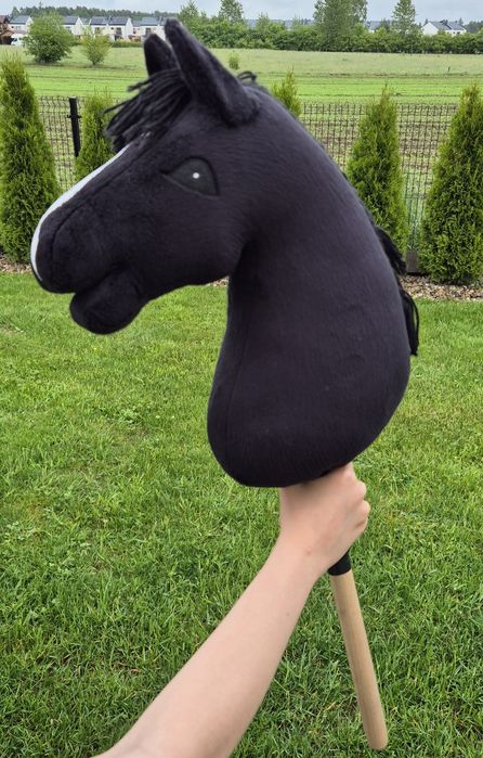 Hobby horse wyjątkowy