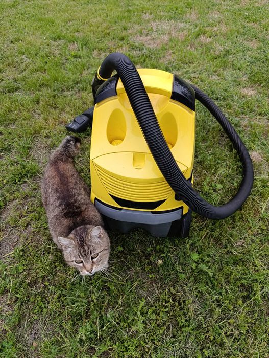 Пилосос KARCHER DS 5500