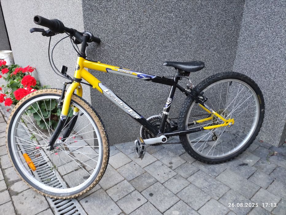 Rower młodzieżowy 24