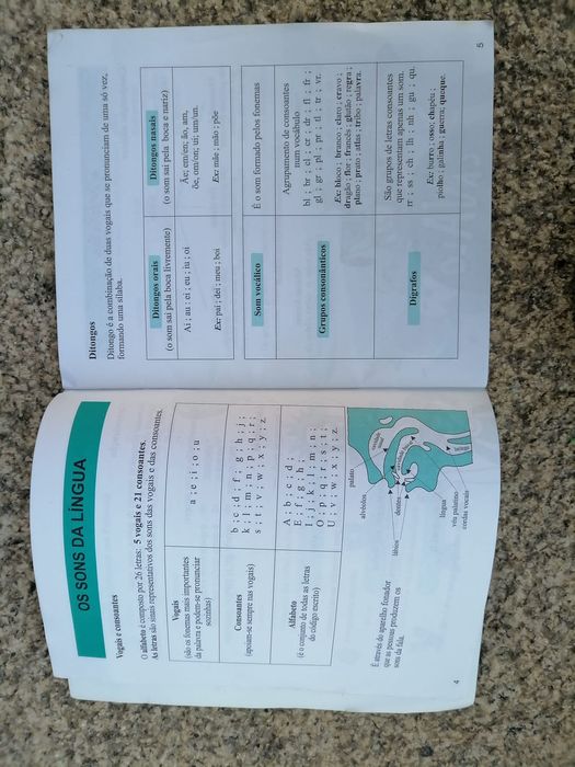 Livro de gramática português ratinho
