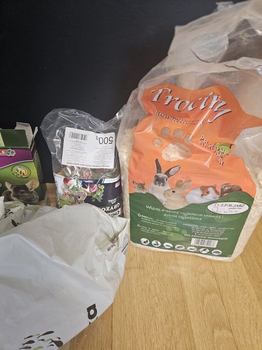 2 szczury samiczki dumbo z klatką zabezpieczoną, akcesoriami i karmą