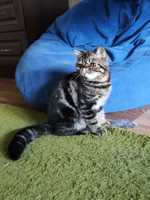 Екзотичний хлопчик