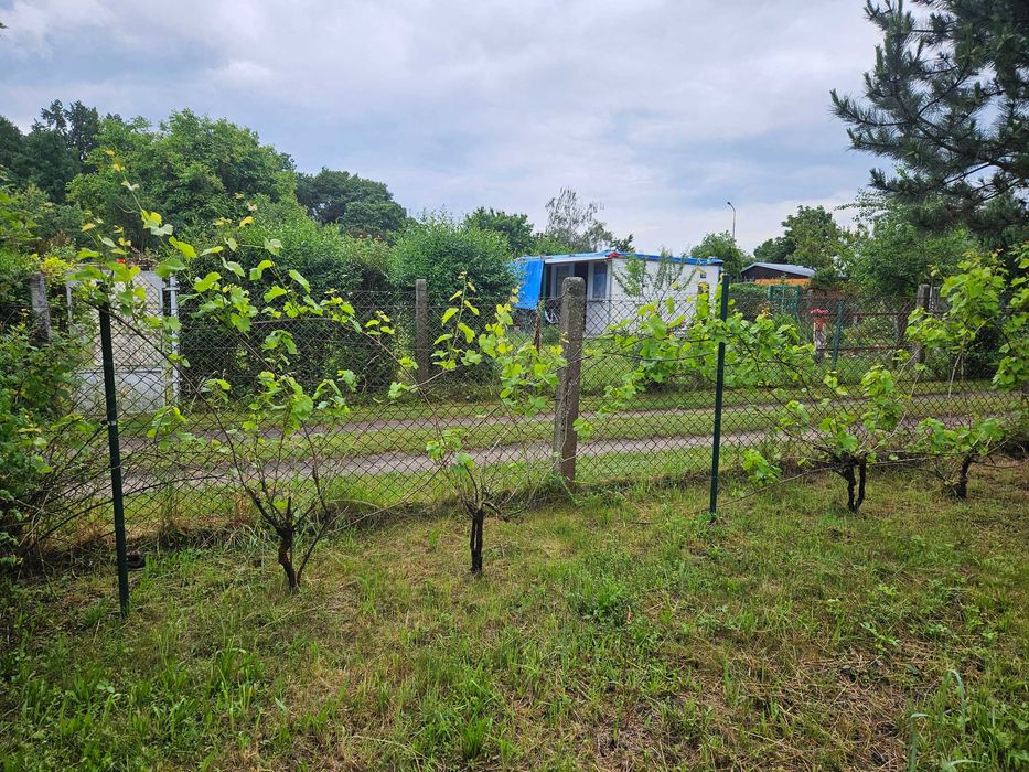 Sprzedam działkę ROD „Wiosna” w centrum Oławy – 379 m² (narożna)