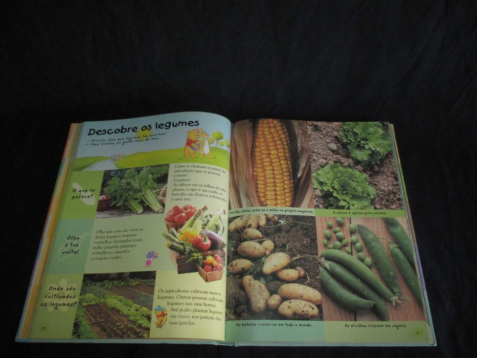 Livro A minha primeira Enciclopédia com Winnie the Pooh Natureza