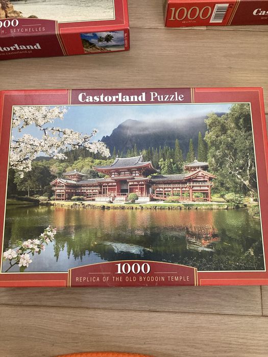 Пазли Castorland Касторленд 1000 дет