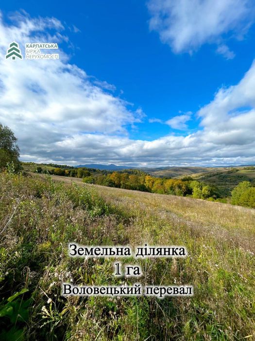 Земельна ділянка Воловець