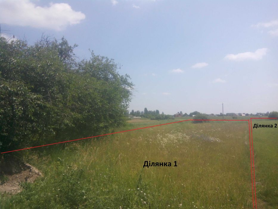 Дві земельні ділянки поруч в с. Пески (Піски) Житомирський район