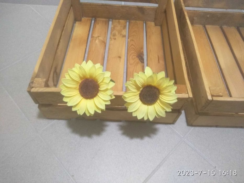 Kwiaty ozdobne słoneczniki tanio