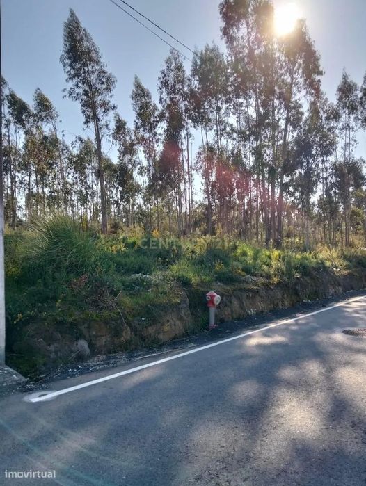 Terreno urbanizável em Requeixo, Aveiro