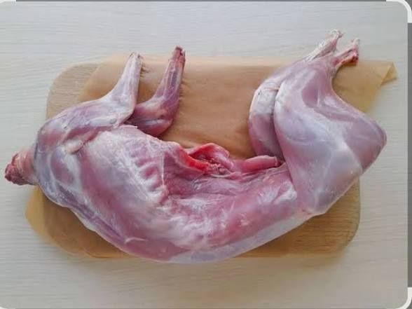 Продам м'ясо кролика