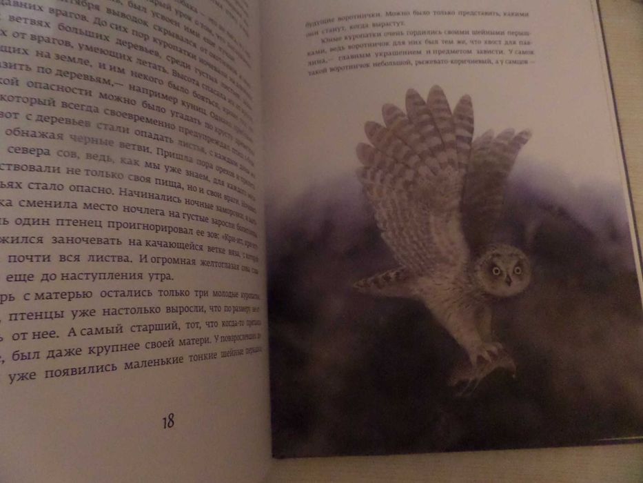 Эрнест Сетон-Томпсон Красношейка