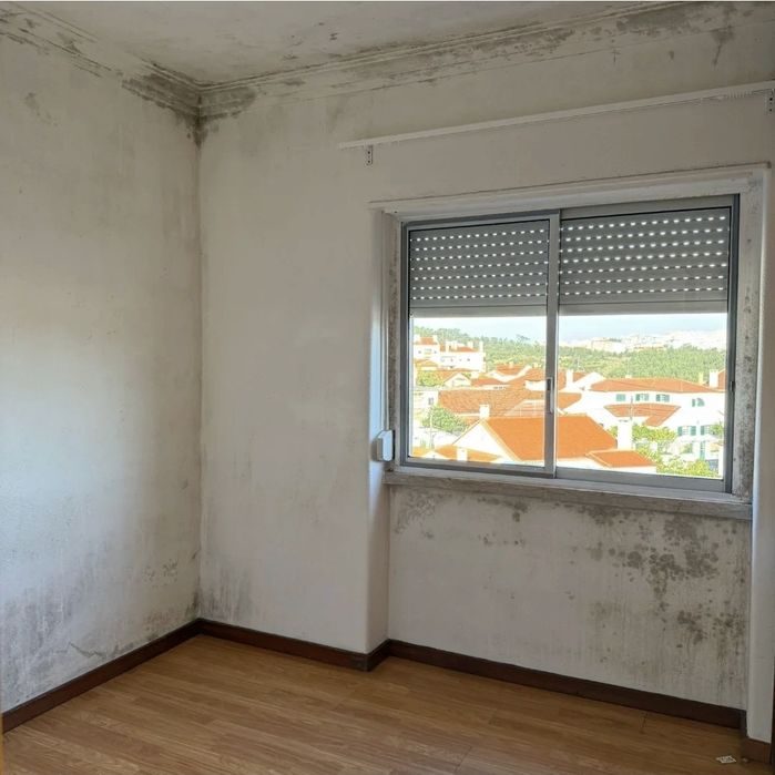 Limpeza impecável. limpeza comercial e limpeza doméstica