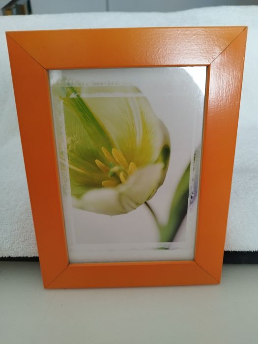 Molduras de Parede64740464573698123