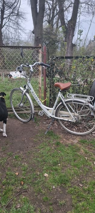 rower miejski Gazelle – stan bardzo dobry