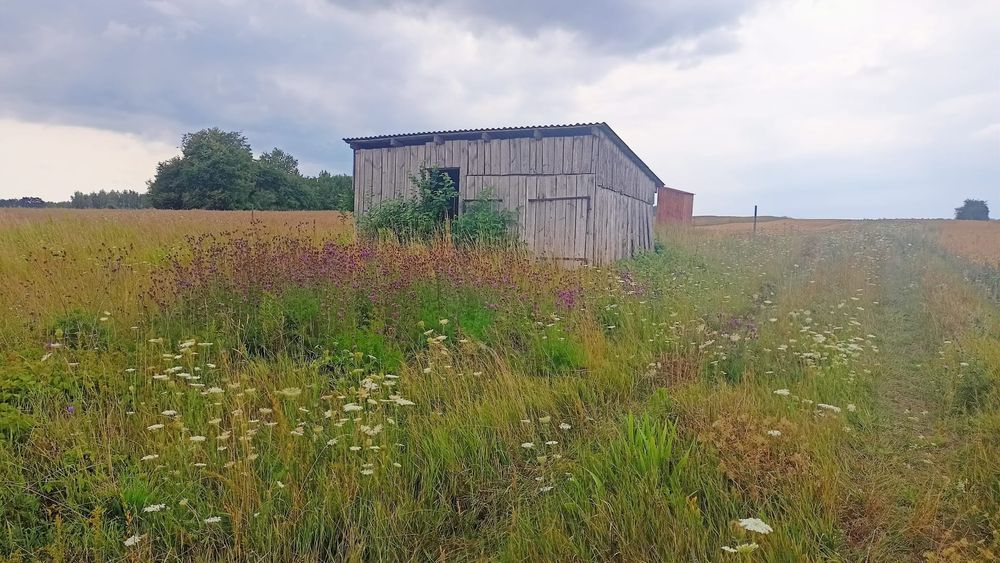 Sprzedam Działki
