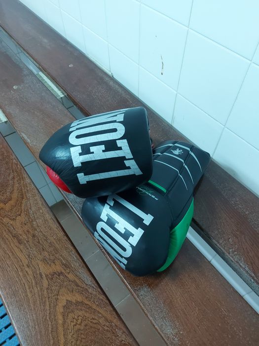 Luvas leone full performance 14oz