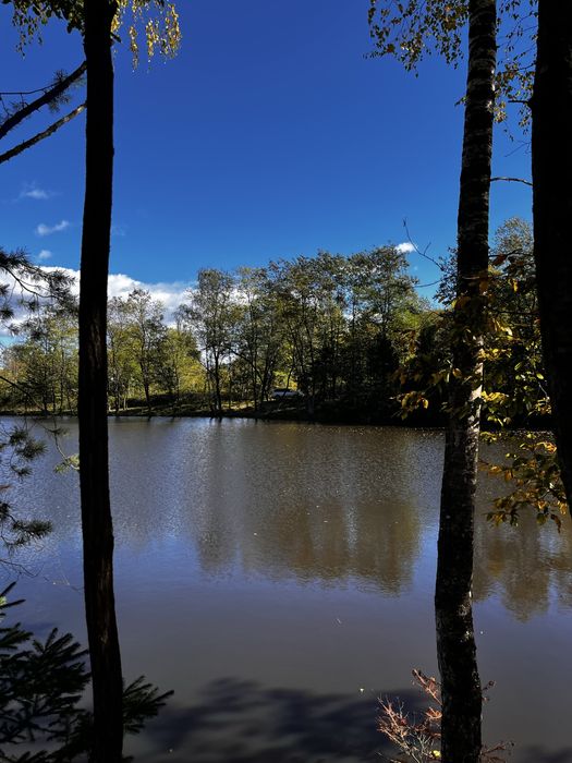 Котедж серед лісу  в Карпатах.  Риболовля. Чан.Сауна. Без сусідів.