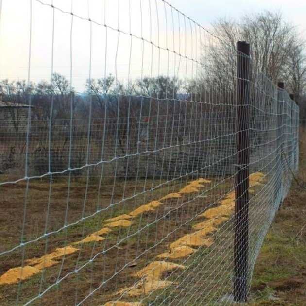 Сітка шарнірна, h-1,62; L-25 м., аналог сітка рабиця, огорожа.
