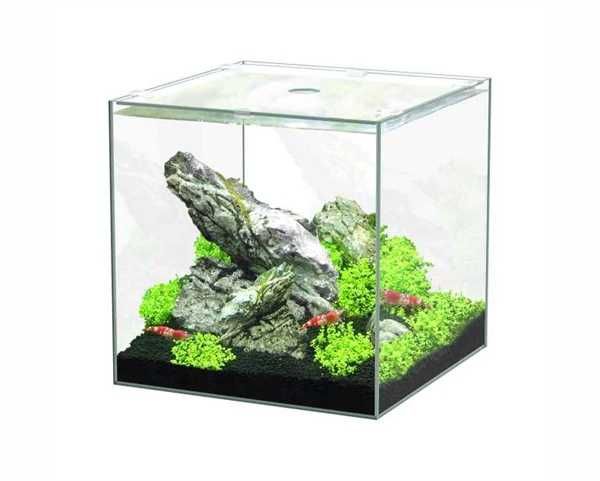 Aquário Kubos 5 Litros sem equipamento