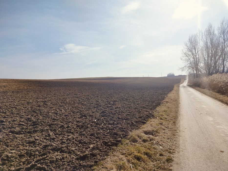 Grunty rolne 3,65 ha