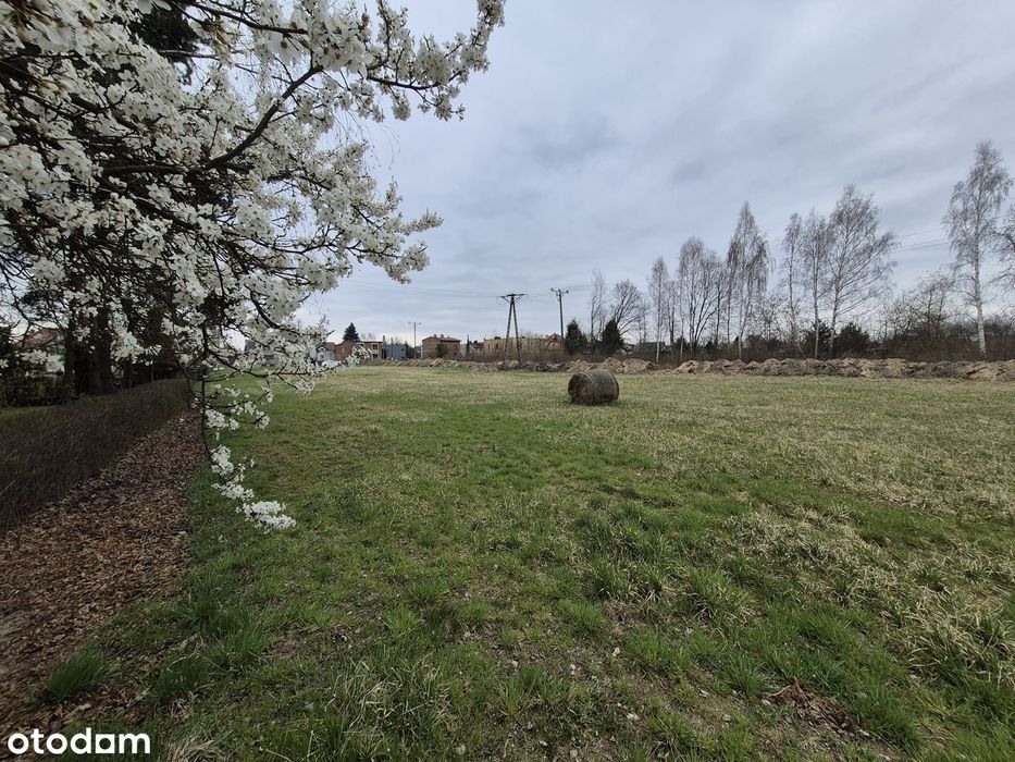 Działka 1696 m² | Chełm Śląski | 3 km do nowego węzła S1