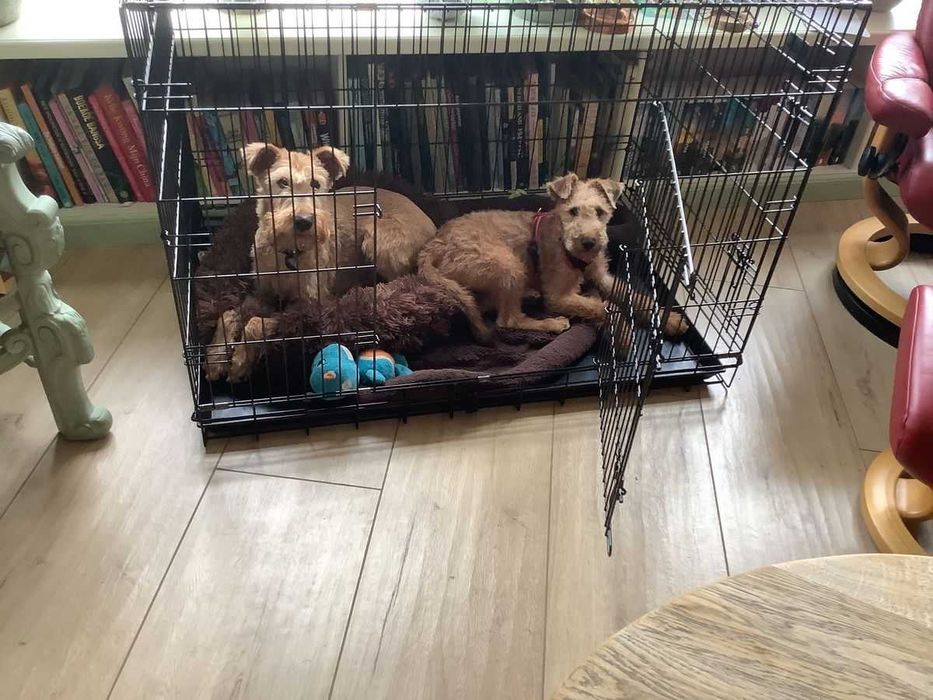 Клітка для собак ВСІ РОЗМІРИ, клетка переноска вольер для собак Польша