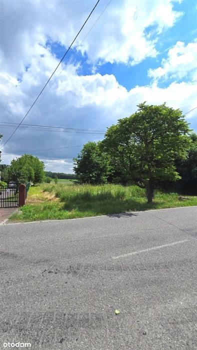Duża działka przy lesie - Widok 3