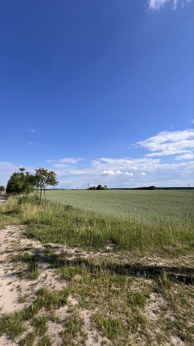Продаж земельної ділянки. Пай. Піддубці