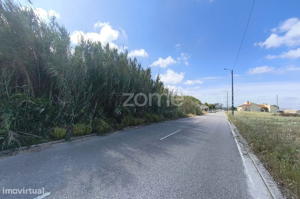 Terreno Urbano com 2.500 m² em Lombomeão – Vagos