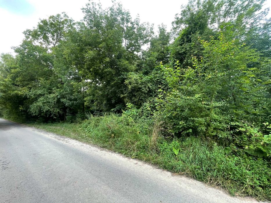 Мрієте про власну земельну ділянку біля центру міста Ярмолинці? HH