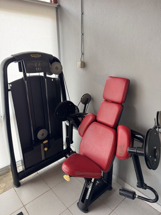 Maquina Bicipite Tecnogym