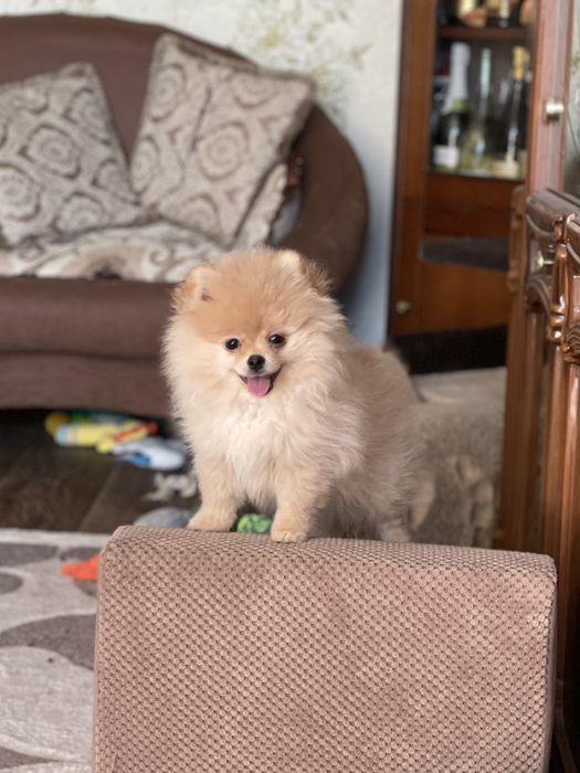 Дівчатка VIP,чекають на вас