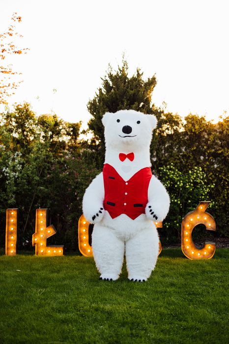 Miś tańczący na twoją imprezę ! Tańczące MISIE ! Urodziny i nie tylko!