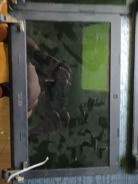 Matryce do laptopów.