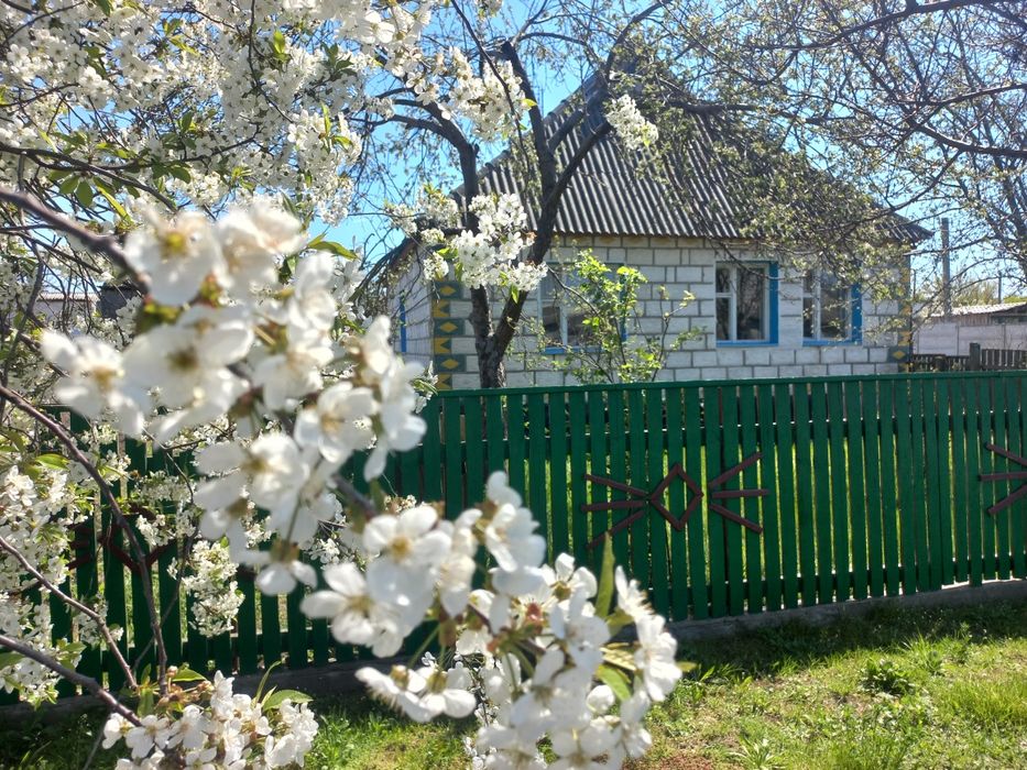 Купуйте цегляний будинок  в  Брусилові Житомирської області