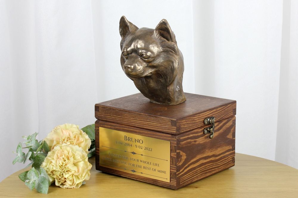 Chihuahua długowłosy urna na skrzynce brązowa Art-Dog