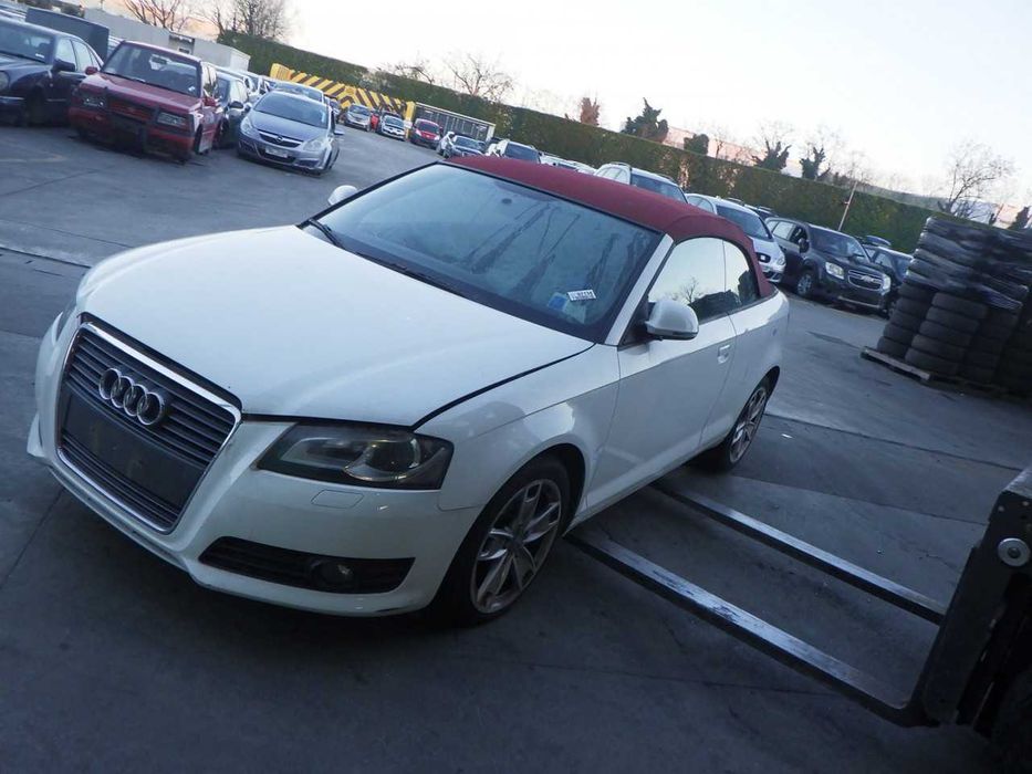 Portas Audi A3 Cabrio 8P7 1.9 tdi 105cv BLS 2008
