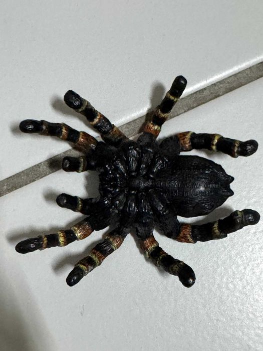 Павук Тарантул Schleich 14829