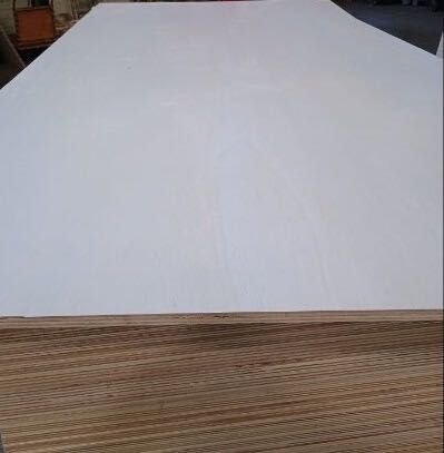 Sklejka suchotrwała lekka FALCATA 1250×2500 g. 3,6; 5; 9; 12; 15; 18mm