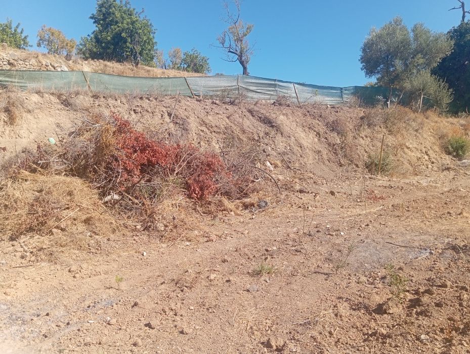 Vendo terreno rústico em Quelfes Olhão
