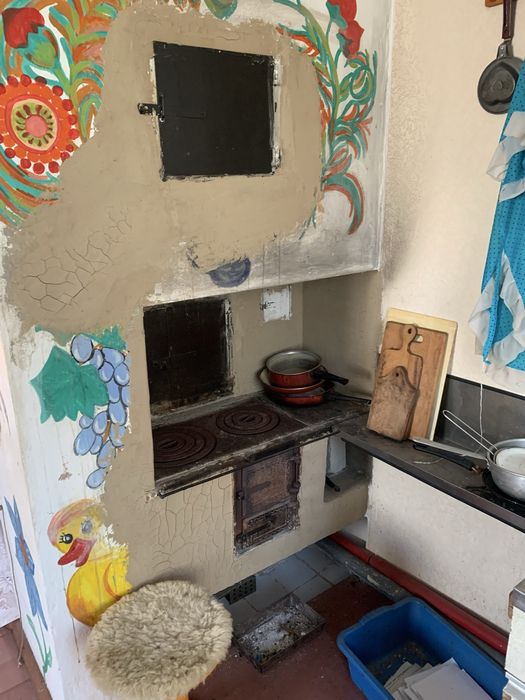 Дачний будинок Веснянка