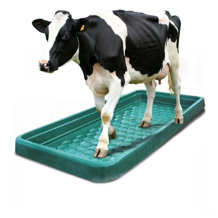 Wanna kuweta do dezynfekcji, kąpieli racic Wzmocniona SUEVIA SUPER