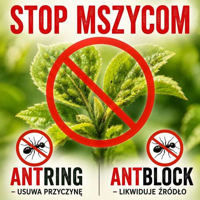 AntRING - pułapka na mrówki, blokuje dostęp do mszyc (40-55mm) (10 sztuk)