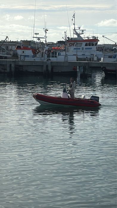 Semi Rigido Narwhal 450