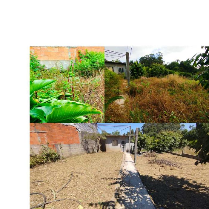 Limpeza de terrenos